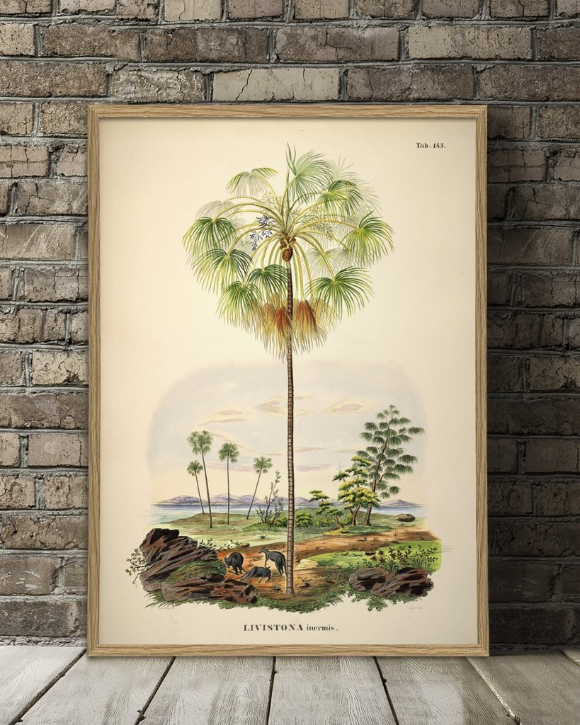 Affiche 70x100 Palmier et paysage - THE DYBDAHL
