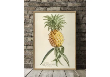 Affiche Ananas 50x70cm - THE DYBDHAL