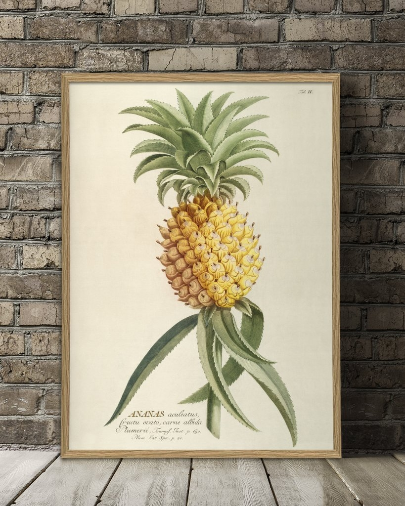 Affiche Ananas 50x70cm - THE DYBDHAL