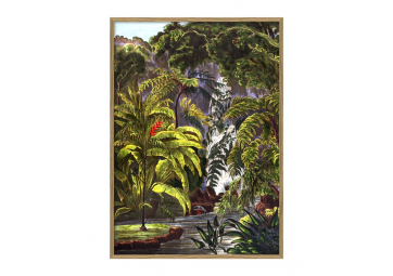 Affiche Jungle 50x70 cm - THE DYBDAHL