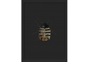 Affiche encadrée scarabée doré - THE DYBDAHL