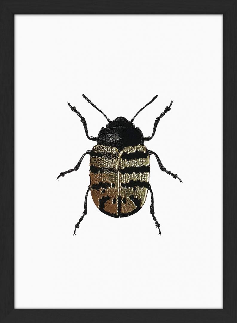 Affiche encadrée scarabée doré - THE DYBDAHL