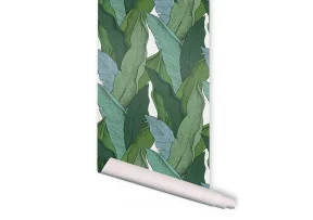 Papier Peint Leaf - PAPERMINT