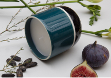 Bougie Passy Feuille de figuier - SARAH LAVOINE