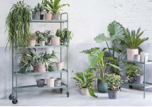 Etagère à plantes kaki - SERAX