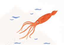 Affiche "Sid The Squid" 50x70 - PAPER COLLECTIVE