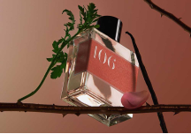 Parfum 106 Rose Davana Vanille 30ml - BON PARFUMEUR