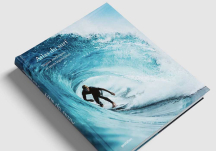 Atlas du Surf - GESTALTEN