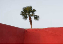 Poster Moroccan Rooftop 1 100x70 - DAVID & DAVID