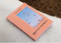 Guide Arles et Camargue - A WEEK ABROAD