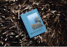 Guide Bretagne Sud - A WEEK ABROAD