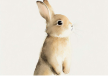 Illustration Aquarelle Baby Rabbit 30x40 cm - DAVID & DAVID